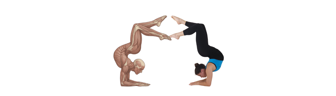 למה מתעמלות צריכות מחמם גב